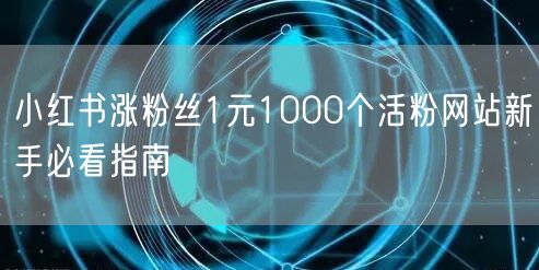 小红书涨粉丝1元1000个活粉网站新手必看指南