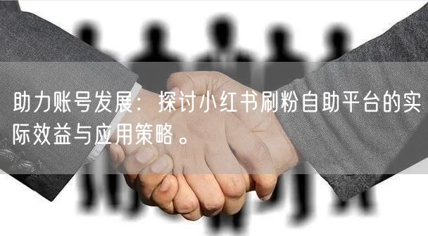 助力账号发展：探讨小红书刷粉自助平台的实际效益与应用策略。