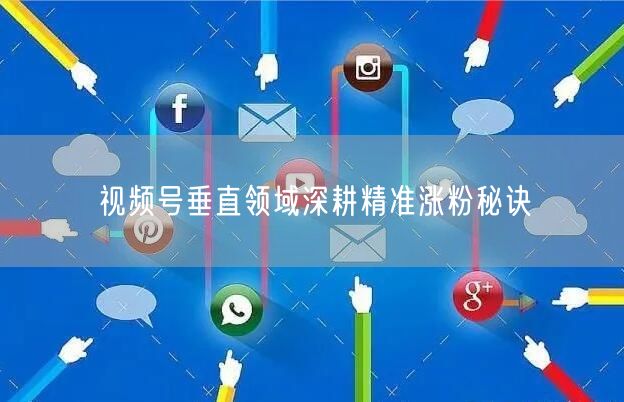 视频号垂直领域深耕精准涨粉秘诀