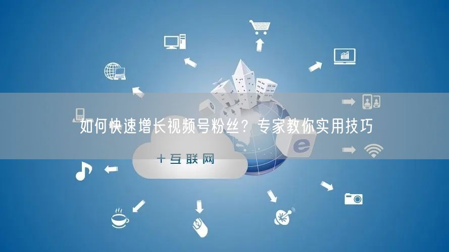 如何快速增长视频号粉丝？专家教你实用技巧
