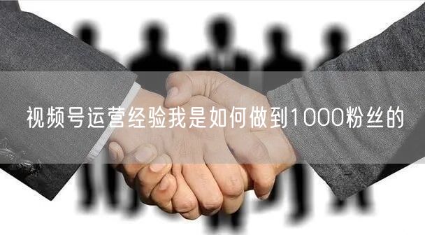 视频号运营经验我是如何做到1000粉丝的